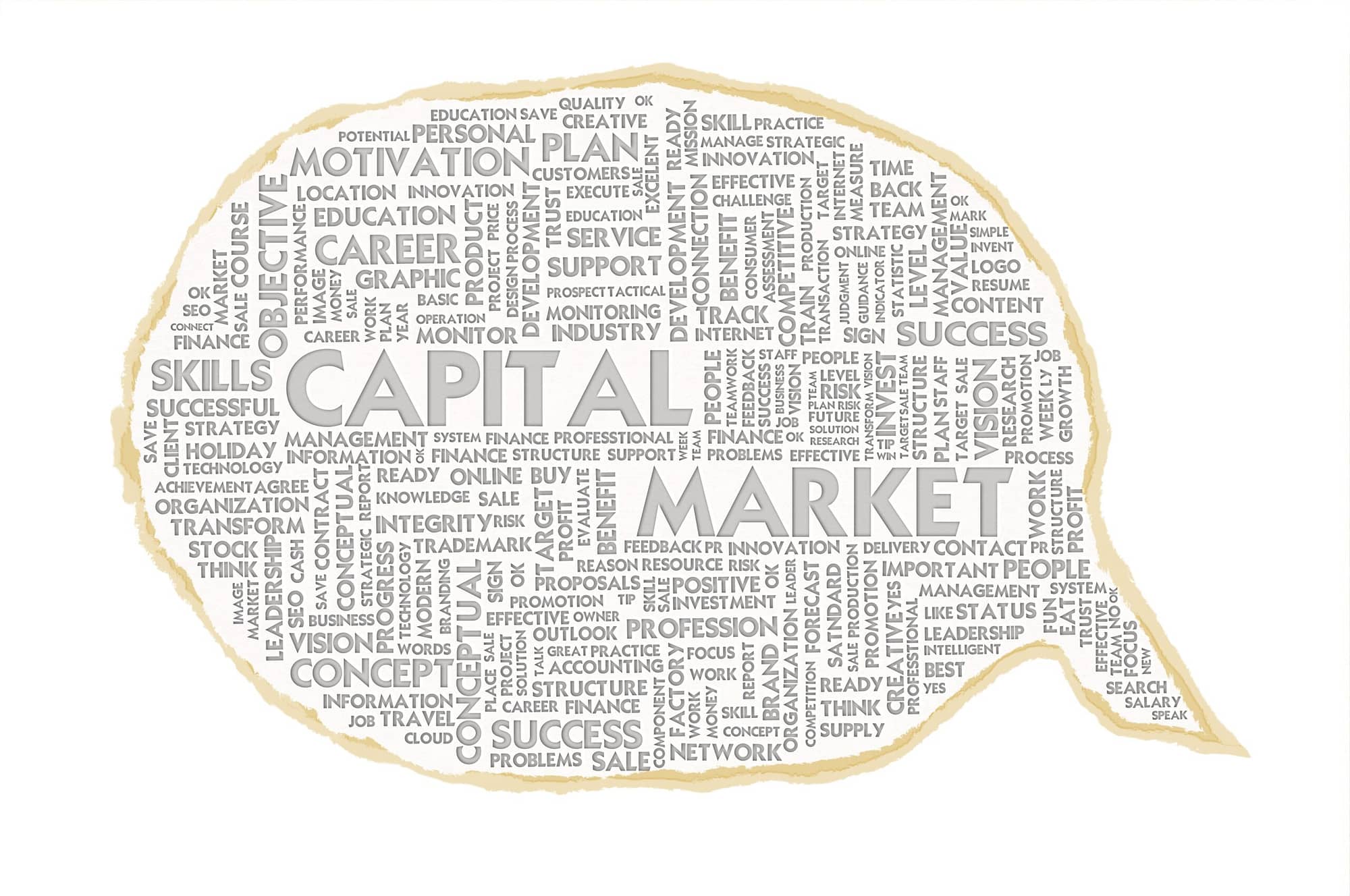 Read more about the article Capital Markets Downturn and its Effects